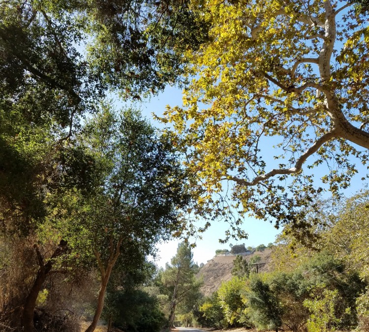 Franklin Canyon Park, Mountains Recreation & Conservation Authority (Beverly&nbspHills,&nbspCA)